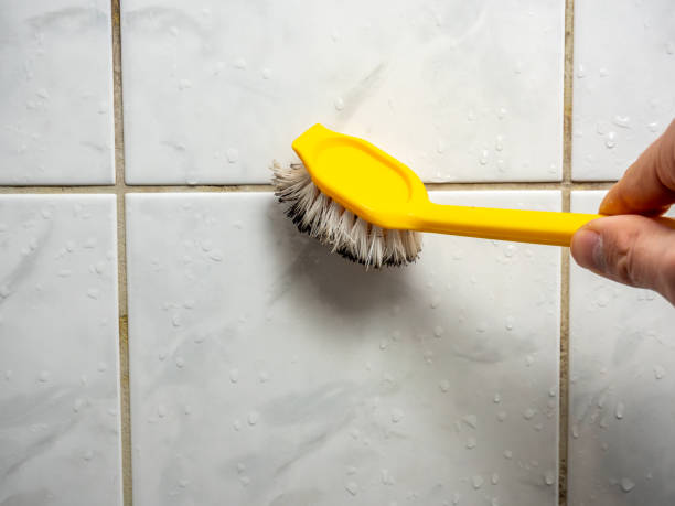 Best Attic Mold Removal  in Tuckahoe, VA