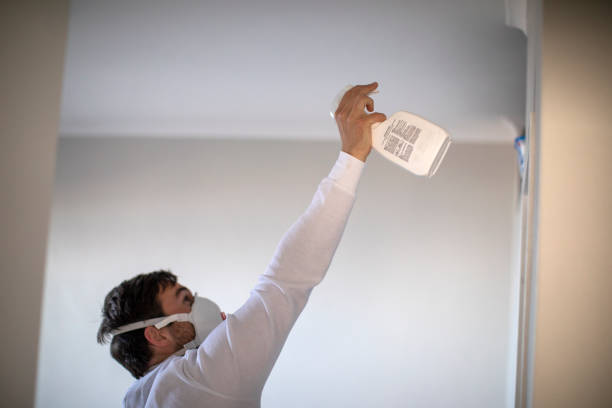 Best Affordable Mold Removal  in Tuckahoe, VA