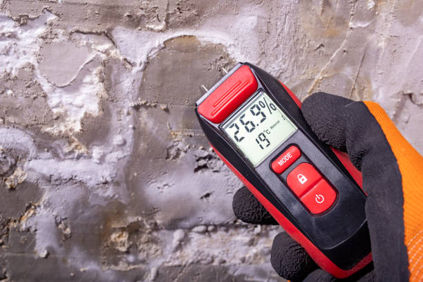 Reliable Tuckahoe, VA Mold Removal Solutions