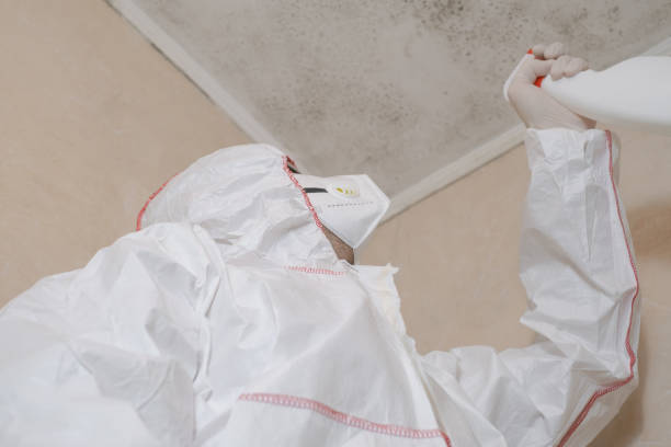 Best Crawl Space Mold Removal  in Tuckahoe, VA