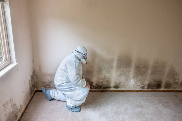 Best Emergency Mold Removal  in Tuckahoe, VA