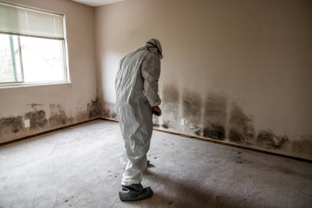 Best Mold Cleaning Services  in Tuckahoe, VA