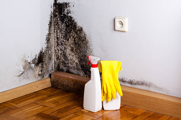 Water Damage Restoration in Tuckahoe, VA