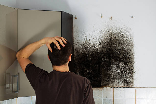 Mold Testing and Removal in Tuckahoe, VA